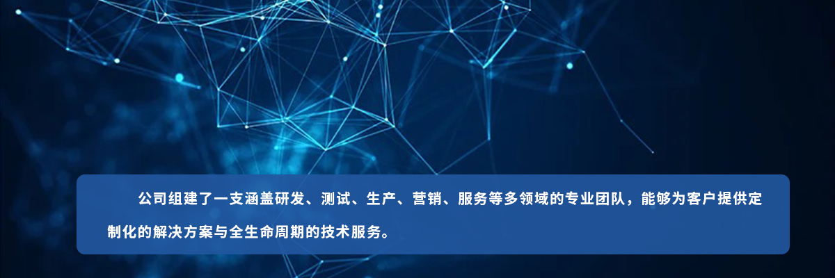 专业团队